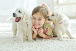 stock-photo-the-child-with-the-dog-lying-on-the-mat