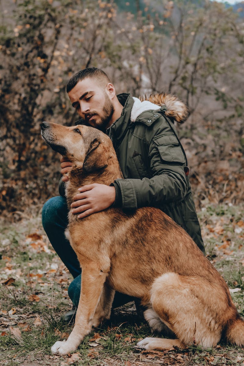 Dog health